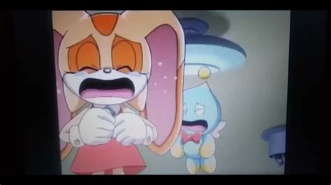 cream the rabbit crying|More.